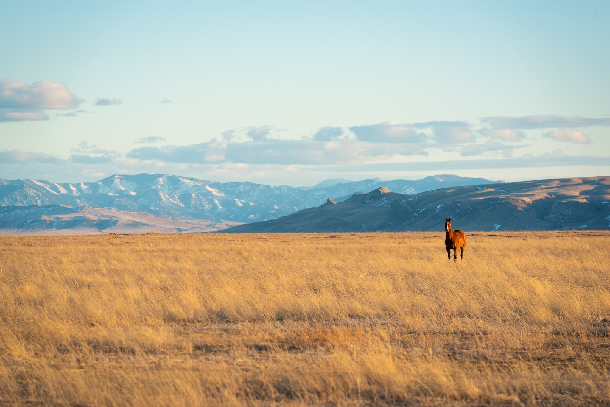 Montana mountain landscape at sunset