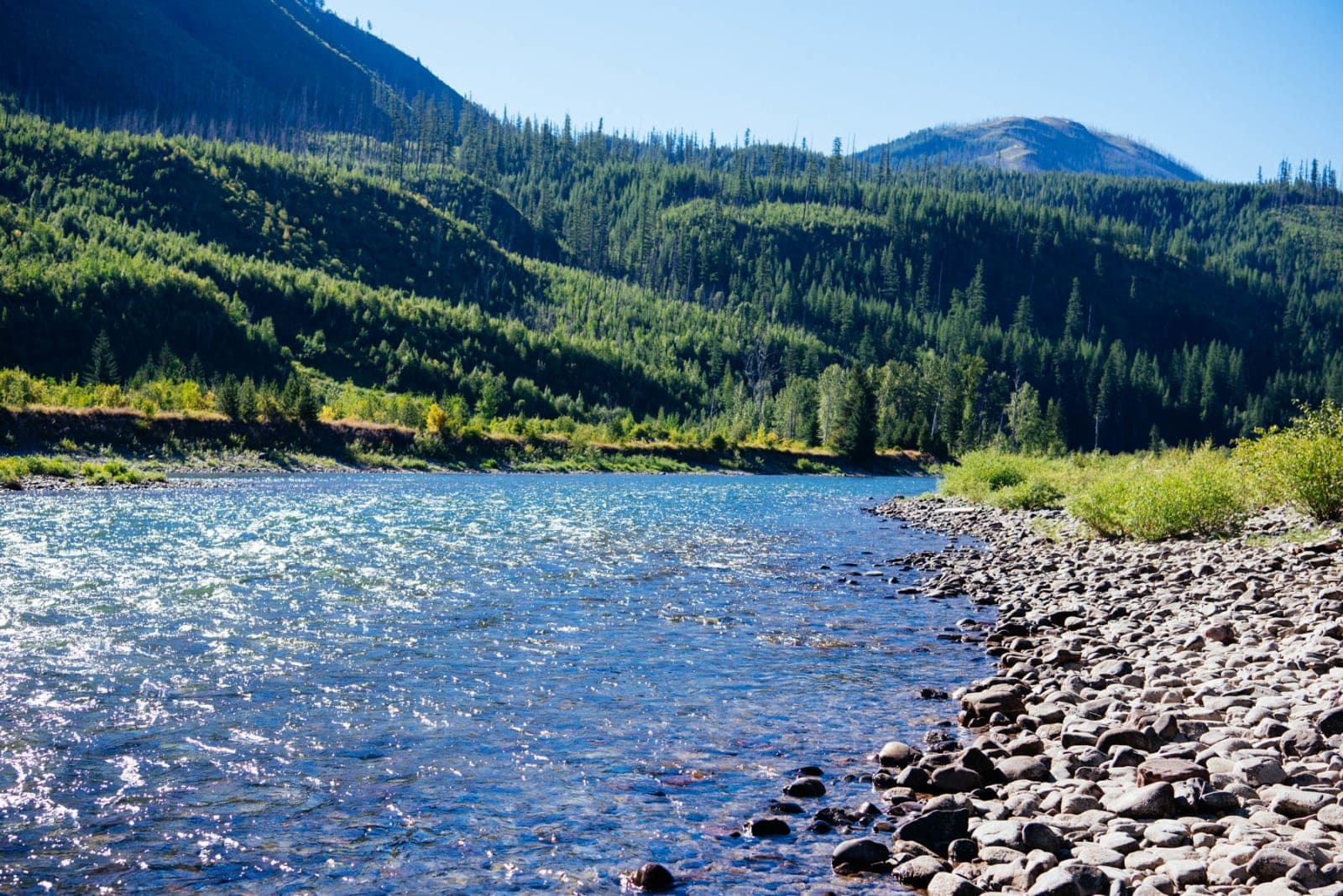 North Fork Flathead River Campsite - Outside West Glacier - Photo 1