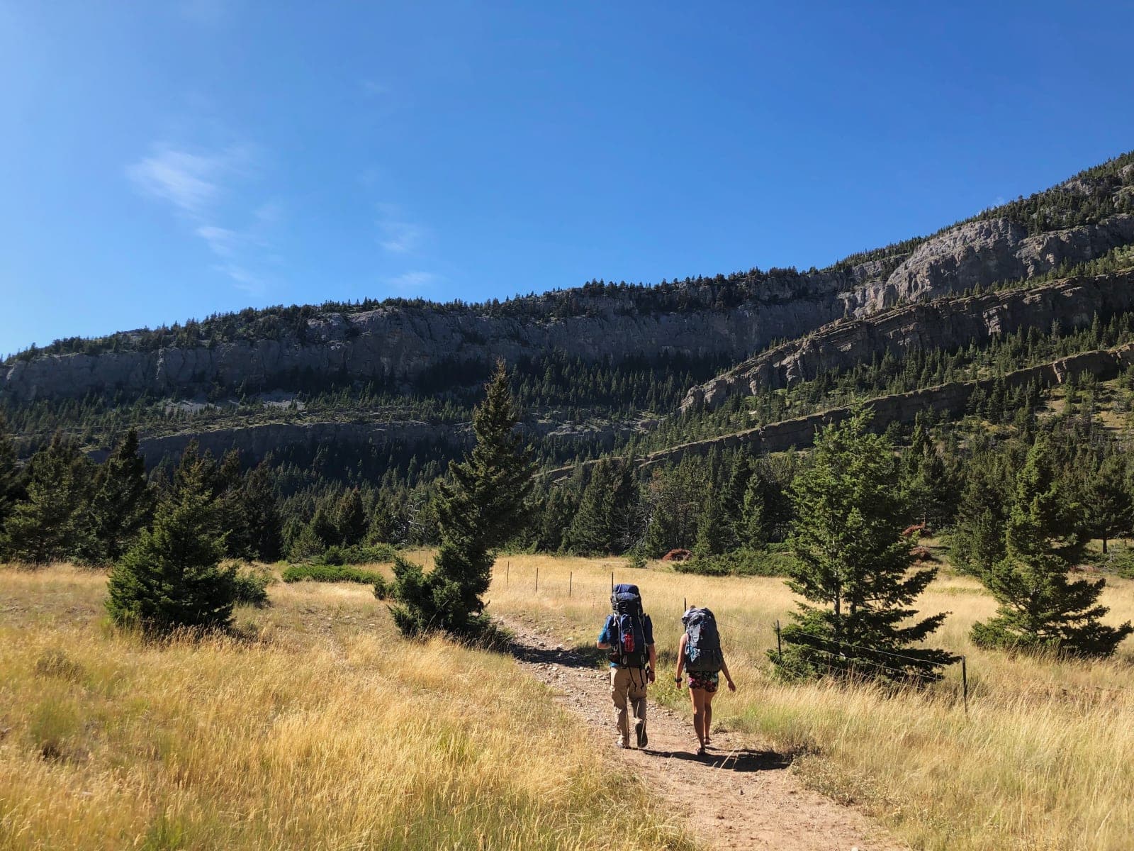Devil's Glen Hike and Cliff-Jumping - Photo 1