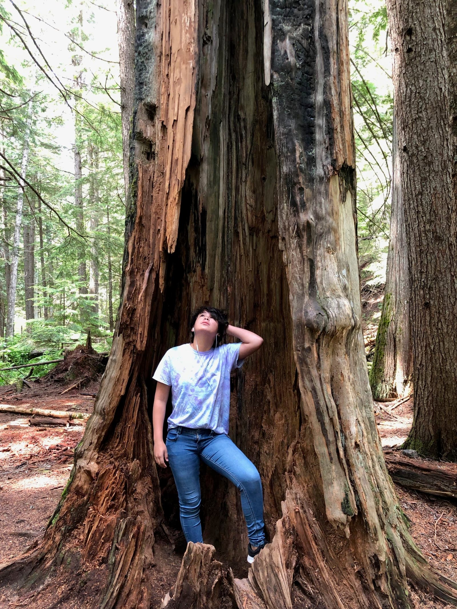 Ross Creek Cedars Scenic Area - Photo 1