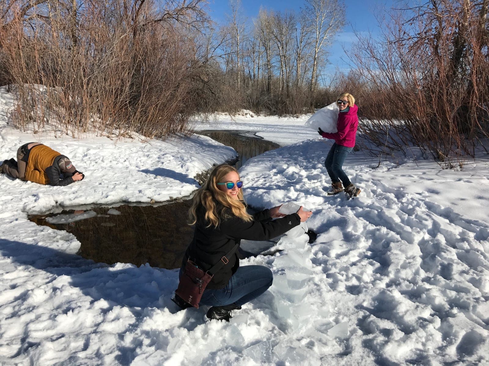 Spring Meadow Lake State Park - Photo 1