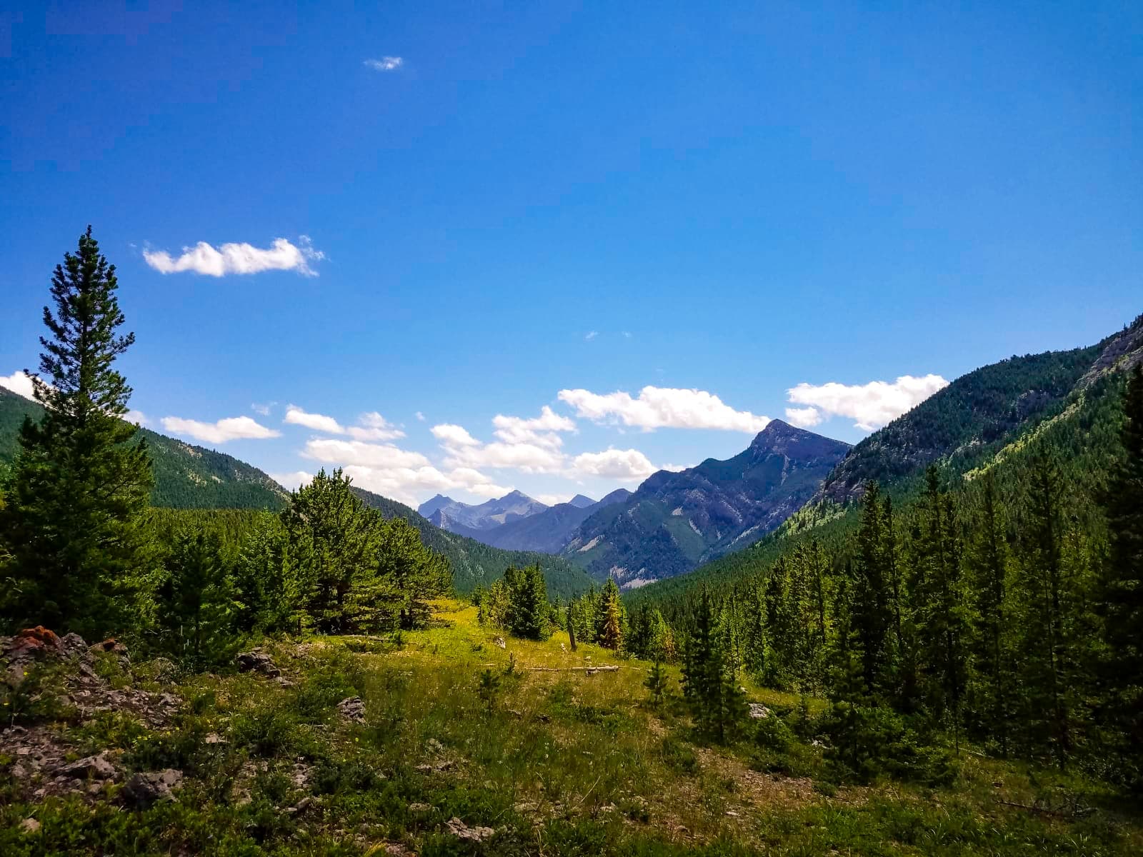 Jones Creek Trail - Photo 1