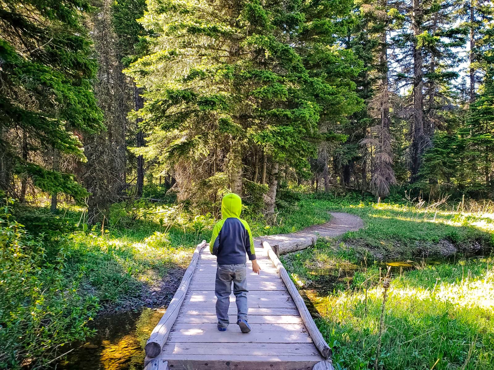 Paradise Point GNP - Photo 1