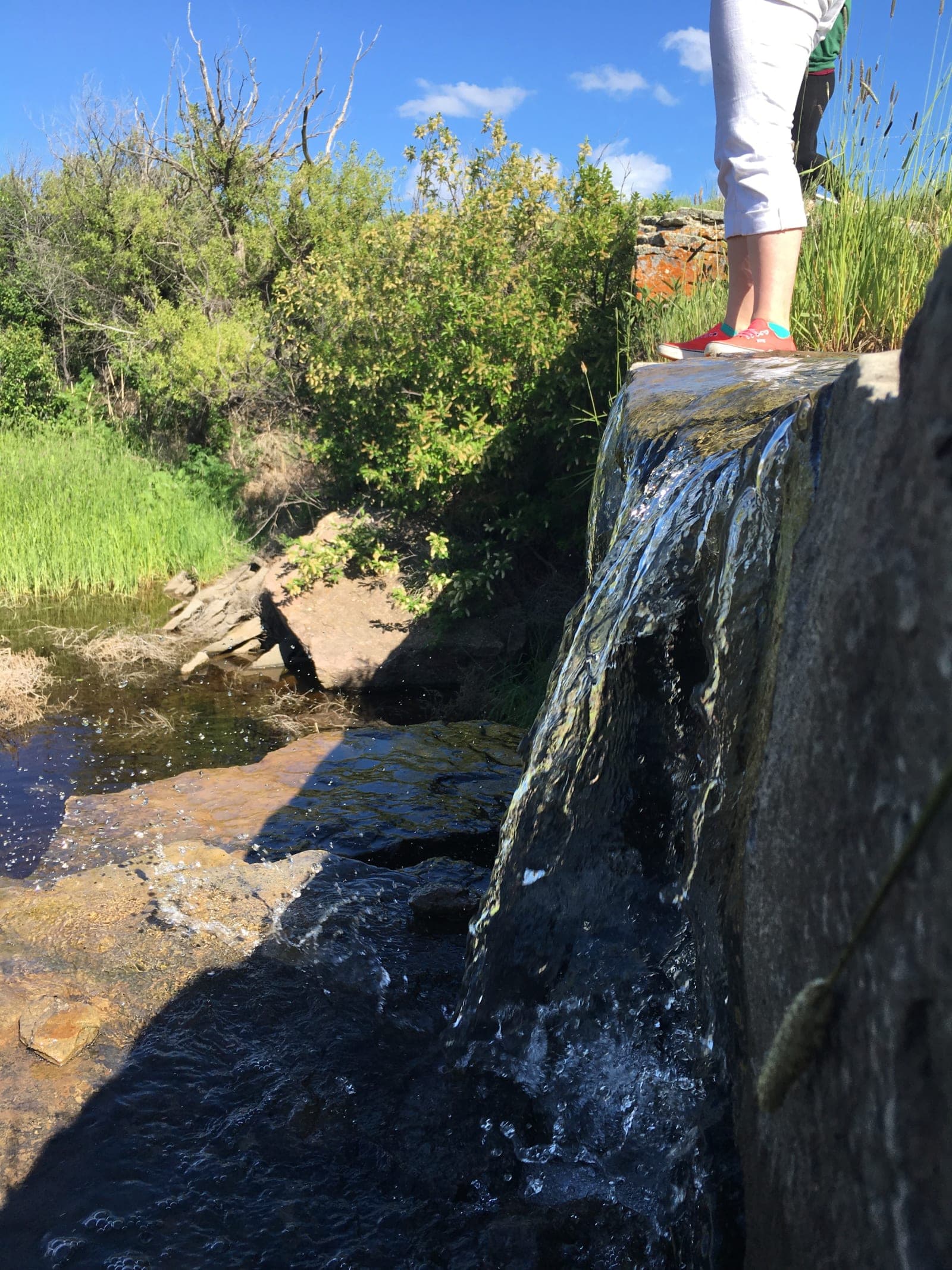 Castner Falls - Photo 1