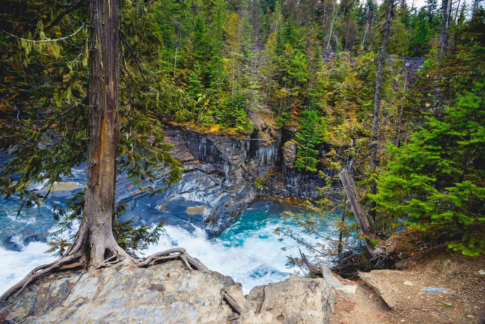 McDonald Falls Hike, GNP - Photo 1