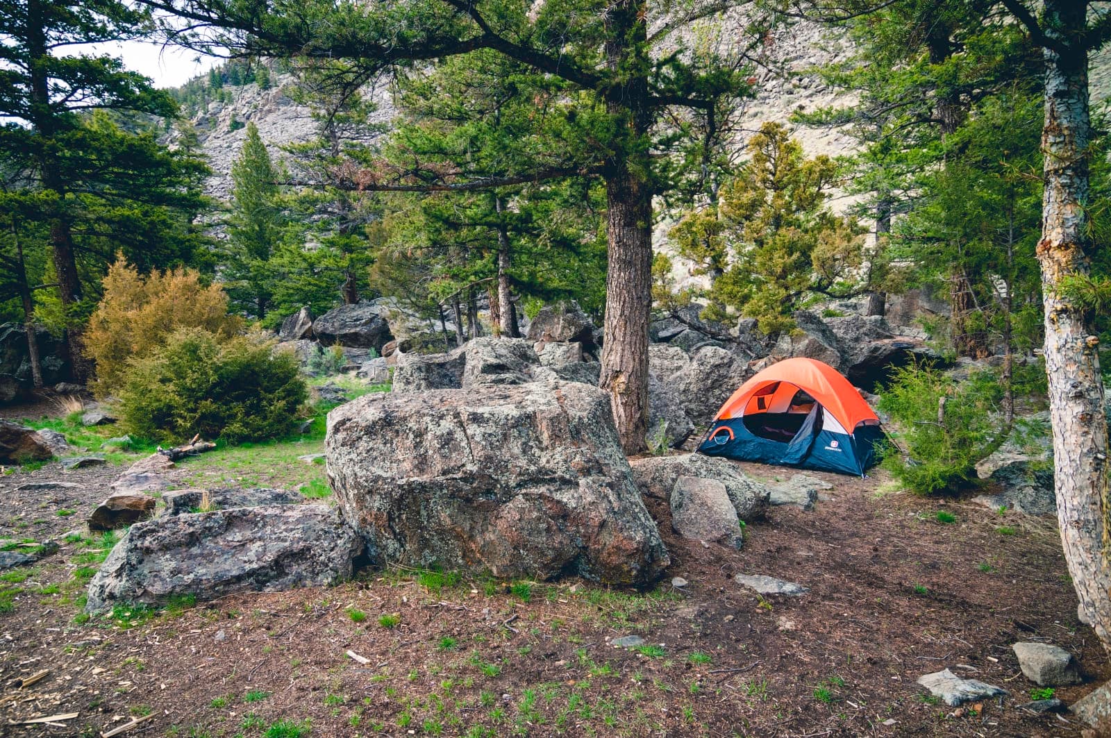 Canyon Campground, Gallatin National Forest - Photo 1