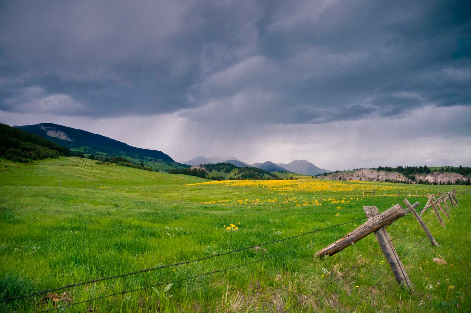 Scenic Drive: Stearns-Augusta Road - Photo 1