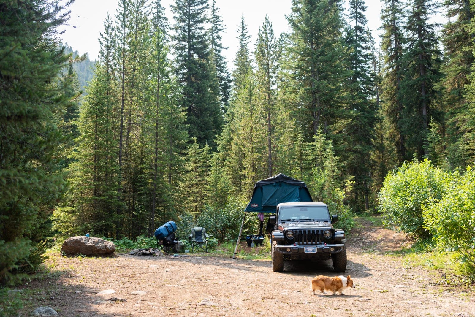 Portal Creek Campsite - Near Big Sky, Montana - Photo 1